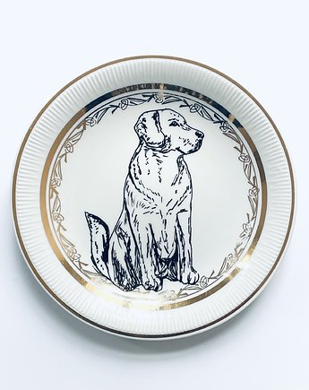Labrador, arent plates