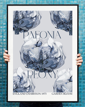 Plakat  Peonie vintage blue, Project 8
