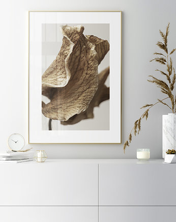Plakat botaniczny z liściem, Futuro Design
