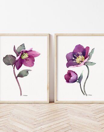 Urszula Steczkiewicz sklep