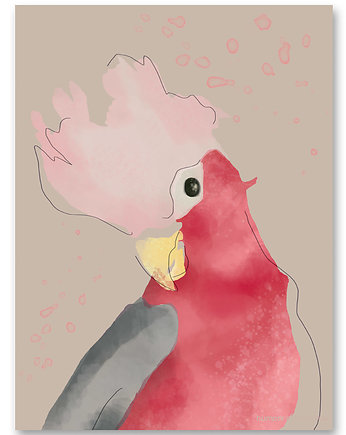 Plakat dziecięcy  Różowa Papuga ( Pink Parrot ), HUMPTY DUMPTY ROOM DECORATION
