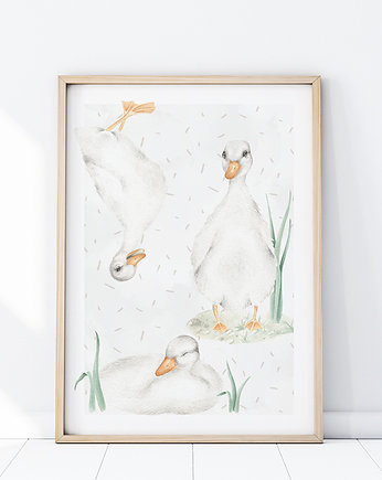 Plakat Gąski P422, Yoko Design