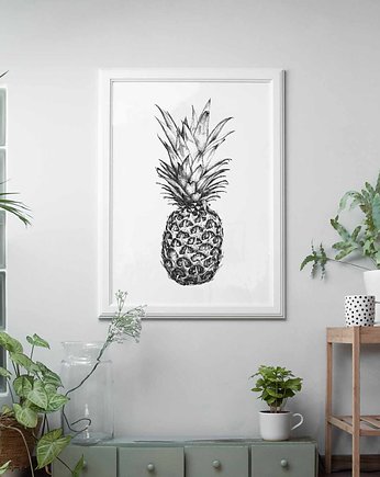 Ananas, beata sketches