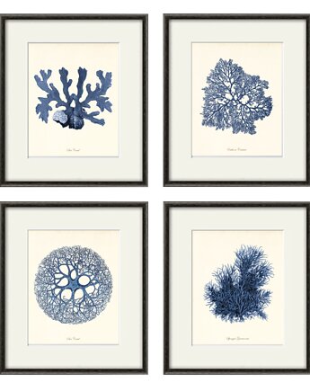 Zestaw 4 grafik  koralowiec reprodukcja morskie, Victorian wall art