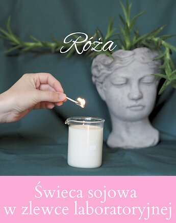 Zapachowa świeca sojowa w zlewce laboratoryjnej - Róża, pine art