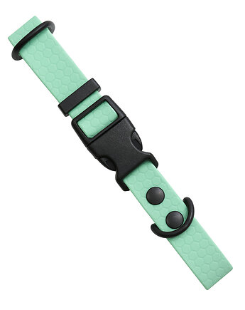 Obroża dla psa regulowana wodoodporna hexa MIĘTOWA 40-55cm taśma 2cm M, Kolorowe Łapki