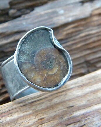 Tempus terrae - amonit   - pierścień, Beata Trotter