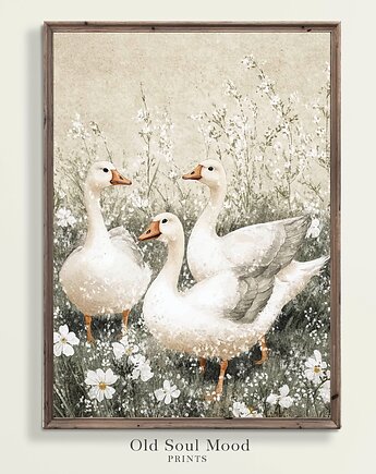 Plakat Gąski i stokrotki Vintage, Old Soul Mood Prints