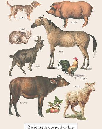 Plakat Zwierzęta gospodarskie Vintage na farmie, MajaMontessori