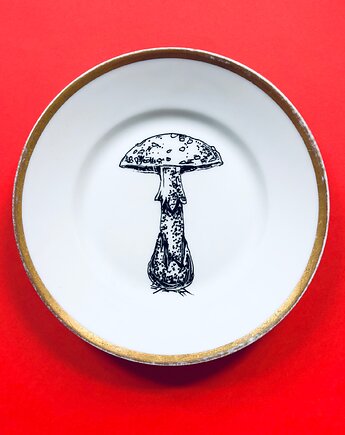 Muchomor sromotnikowy, arent plates