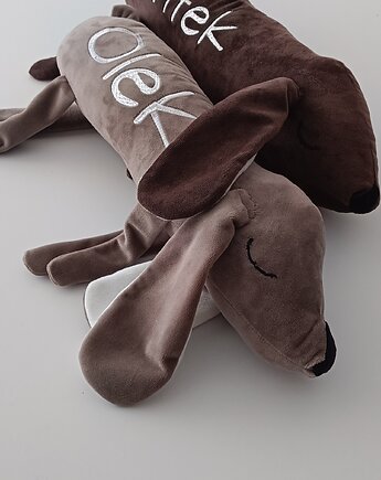 Piesek - jamnik - pamiątka narodzin  haft  kolory