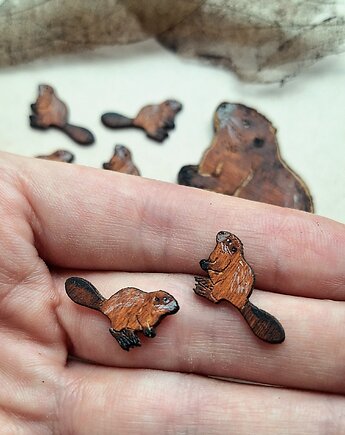 DWUKROOPEK projektant