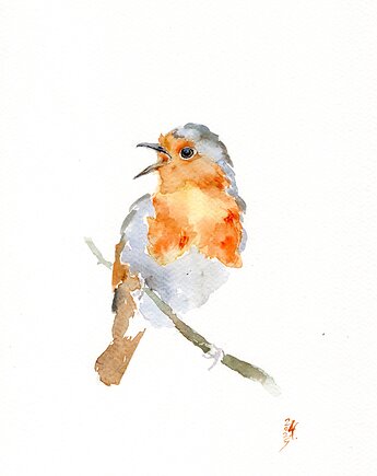 Oryginalna akwarela. Rudzik, alquadro