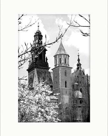 Wawel-magnolie-zdjęcie-w-passe-partout, OKAZJE - Prezent na Wesele