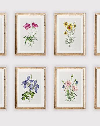 Zestaw 8 kwiatowych ilustracji, OKAZJE - Prezent na 50 urodziny