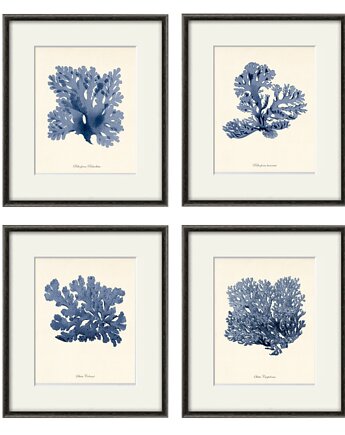 Zestaw 4 grafik  koralowiec reprodukcja morskie, Victorian wall art
