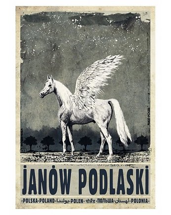 Kartka pocztowa - Janów Podlaski, Galeria LueLue
