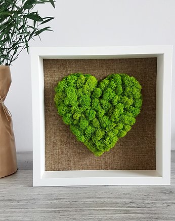 Obraz:  chrobotek reniferowy serce, prezent, Loveplants