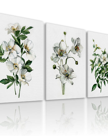 OBRAZ NA PŁÓTNIE -KWIATY  3 części 50x70cm, LUdesign gallery