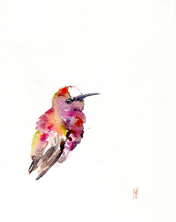 Oryginalna akwarela. Koliber, alquadro