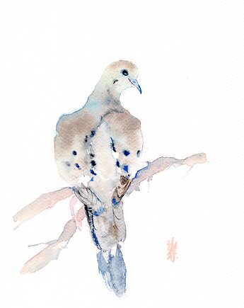Oryginalna akwarela. Gołąb, alquadro