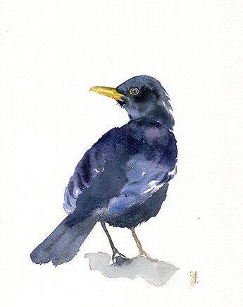 Oryginalna akwarela. Kos, alquadro