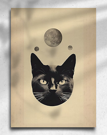 Plakat / Surrealistyczny Kolaż / Kot, balance