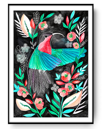 KOLIBER ilustracja drukowana, muamua design