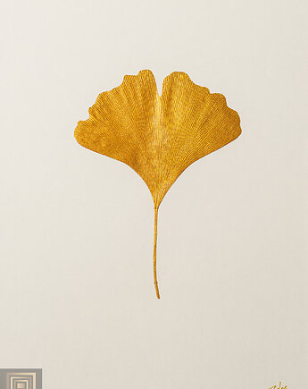 Dekoracja Botaniczna. Złoty Liść Miłorząb 30x40cm. Naturalny Dekor Ścienny, Kuźnia Obrazów