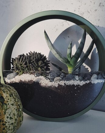 Circle planter "M"- dekoracja ścienna, Leaflo