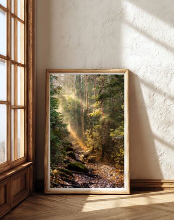 PLAKAT natura fotografia las dekoracja ścienna, black dot studio