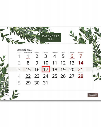 Kalendarz Ścienny Pojedynczy 2024 Eukaliptus A4, Planerum