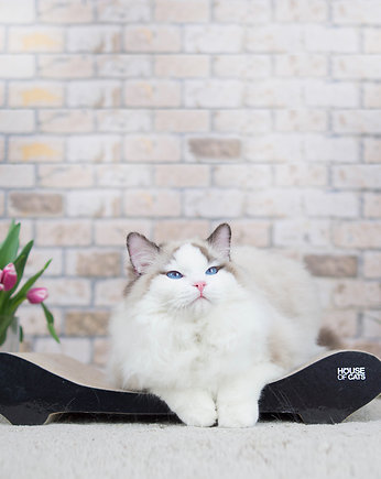 Drapak dla kota legowisko "Comfy Black", House of Cats