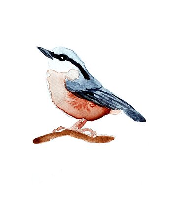 Plakat Kowalik, Warsaw Birds