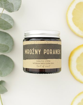 Naturalna świeca sojowa Mroźny Poranek 120ml, Tint of Mint