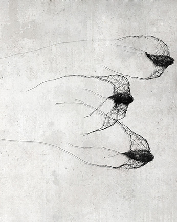 Instalacja z metalu nr XX - ptaki w kluczu (3 sztuk), Maja Gajewska