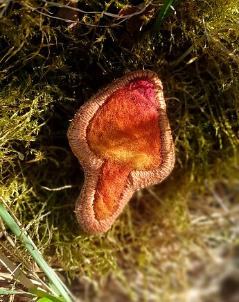 Przypinka z grzybem, Splot tapestry