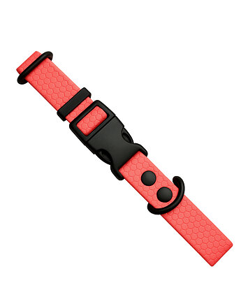 Obroża dla psa regulowana wodoodporna hexa KORALOWA 40-55cm taśma 2cm M, Kolorowe Łapki