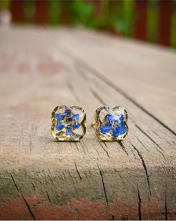 Kolczyki gwiazdki, niezapominajki, Figa handmade accessories
