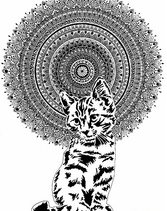 Mandala nr 21, Kot, reprodukcje, anna marczewska