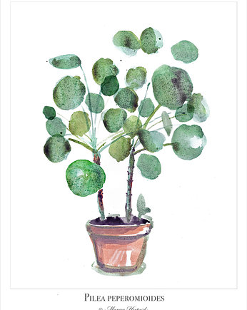 Pilea  plakat/poster, wydruk cyfrowy, Margo Hupert