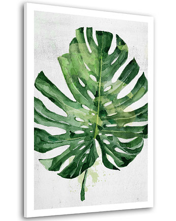 Obraz na płótnie LIŚCIE MONSTERA 80x120cm, LUdesign gallery