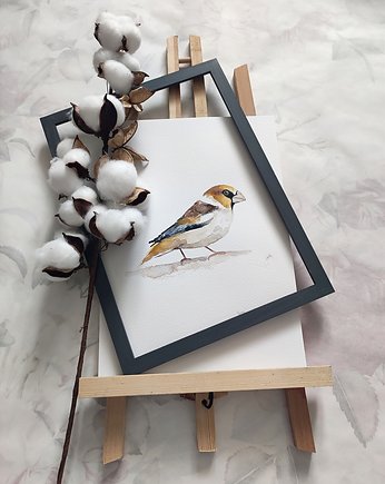 Akwarela Grubodziób, Wiktoria Borys Art