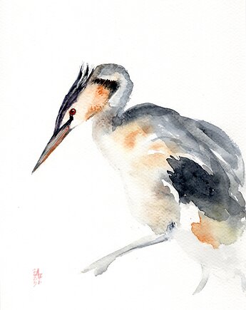 Oryginalna akwarela. Perkoz dwuczuby, alquadro