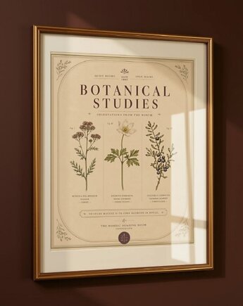 Vintage grafika botaniczna zioła, black dot studio