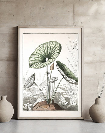 Plakat botaniczny, ArchiBotanica