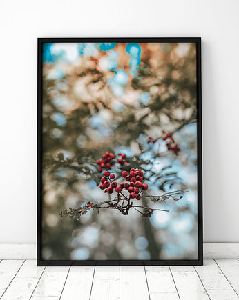 Plakat Jarzębina, COLORMINT