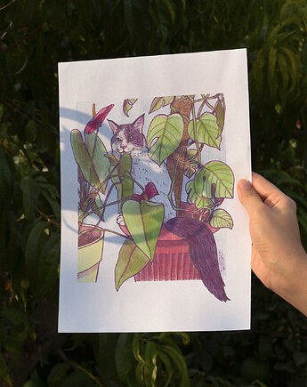 OUTLET Kot w Doniczce plakat A4, zazula
