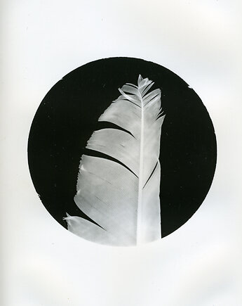 Roztsrojone 3, PAPER AND LIGHT