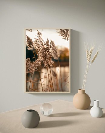 PLAKAT trawa beżowy nude natura, black dot studio